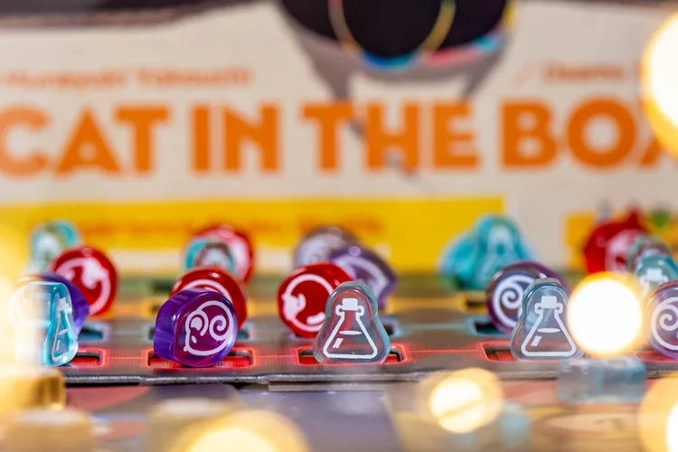 Test et avis sur le jeu Cat in the Box